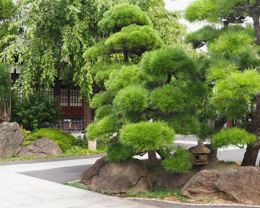 真言宗豊山派　愛染院
